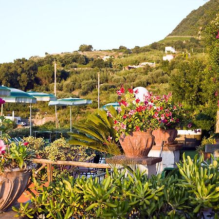 Hotel Poggio Del Sole Forio di Ischia Restaurant foto