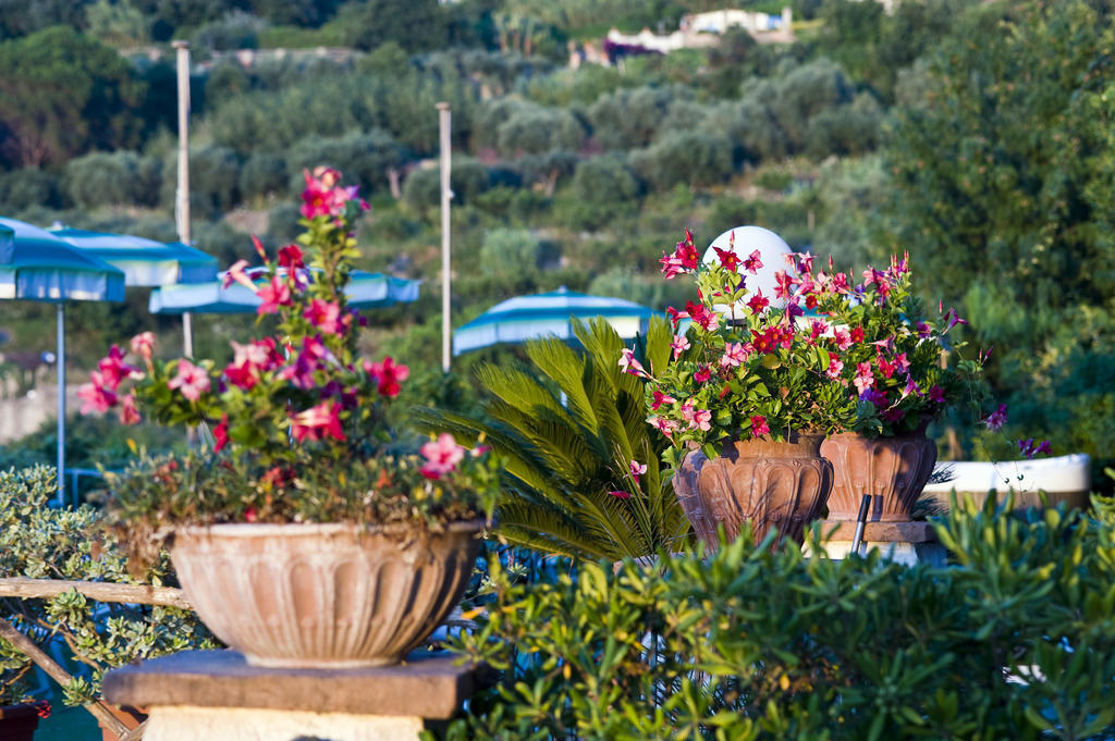 Hotel Poggio Del Sole Forio di Ischia Buitenkant foto