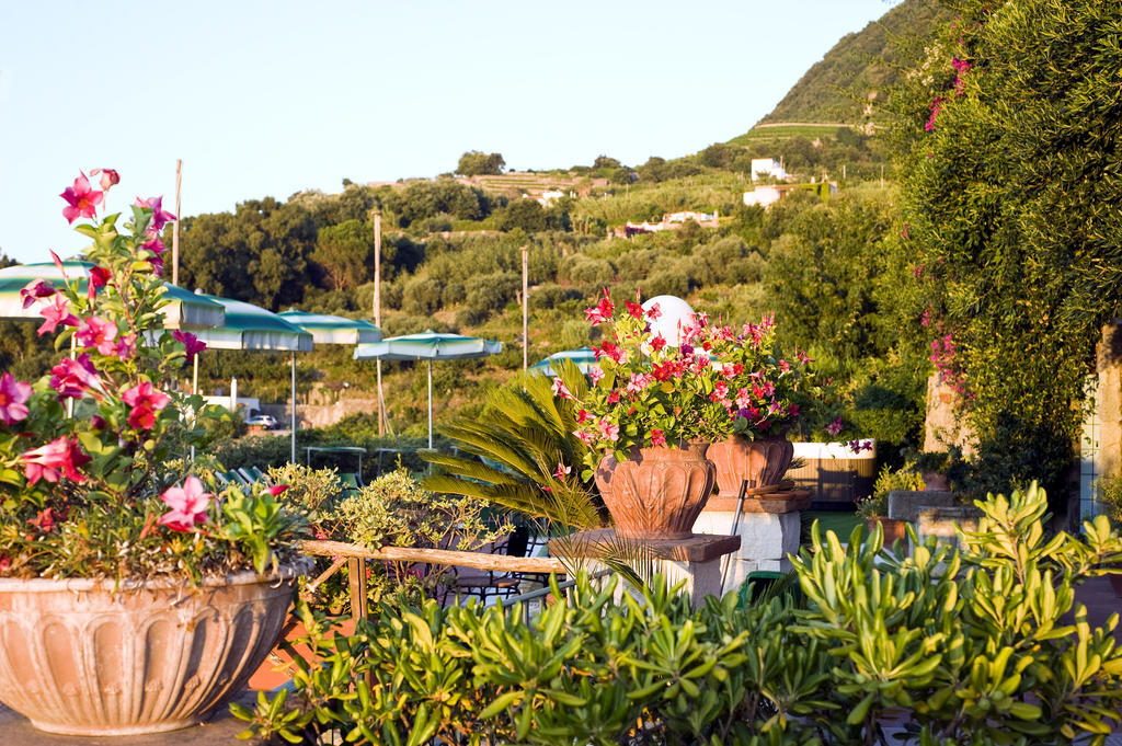 Hotel Poggio Del Sole Forio di Ischia Restaurant foto