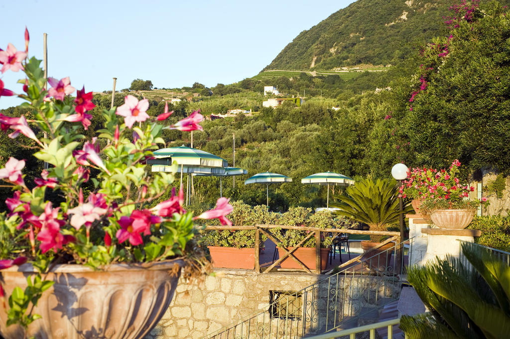 Hotel Poggio Del Sole Forio di Ischia Buitenkant foto